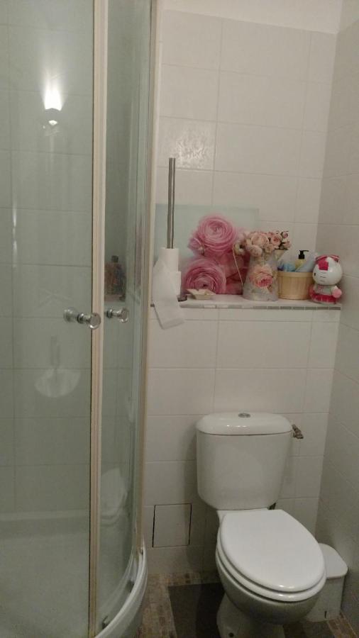 Flat Dijon Down Town Apartment Ngoại thất bức ảnh